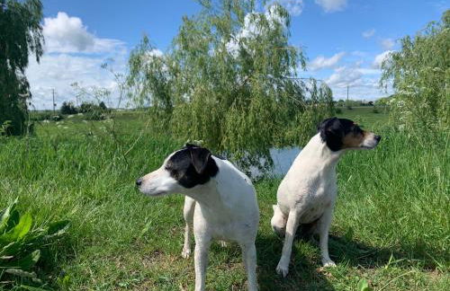 Elm Cottage at Gravel Farm - Photo 24