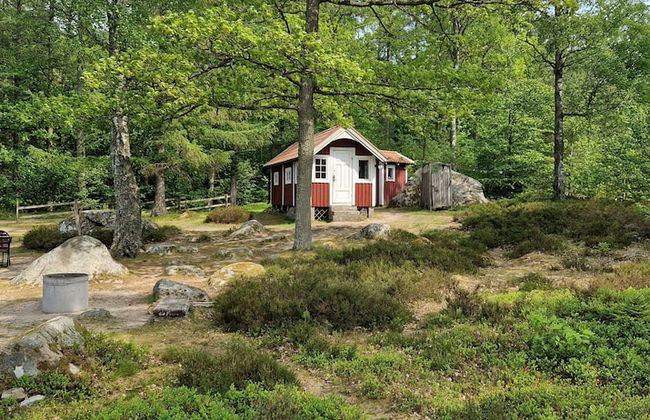 Långasjönäs Camping & Stugby - Photo 32