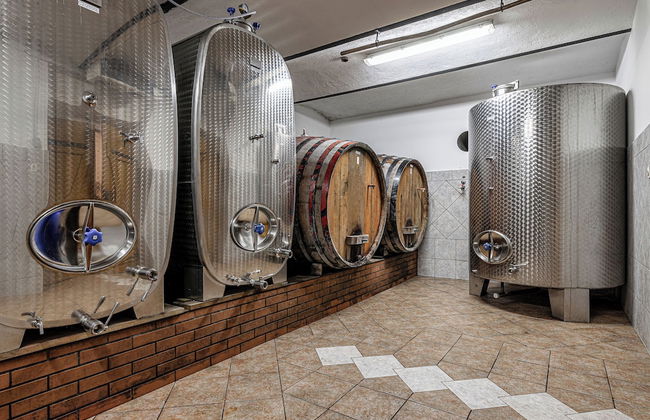 Vineyard Cottage Ucman - Foto 13