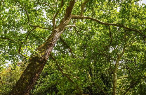 Eumelia Iconic Villa, with Heated Pool & Whirlpool, By ThinkVilla - Foto 32