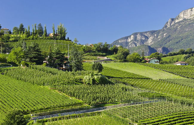 Belia Lofts - ADULTS ONLY - Apartments - Foto 52