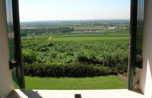 Le Bianchette Agriturismo e Fattoria Didattica - Foto 14