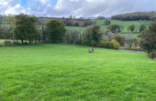 Oakies Farm Stays - Foto 30