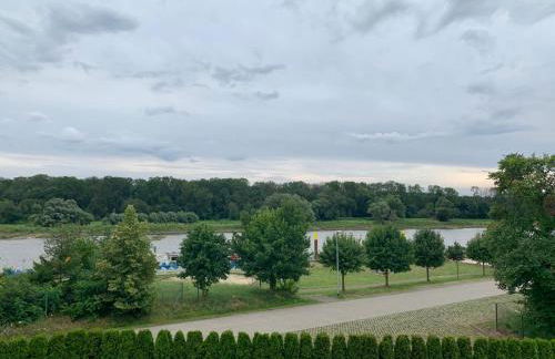 Ferienwohnung zur Dexter-Zucht Coswig (Anhalt) - Foto 11