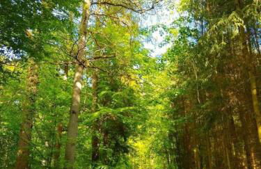 Fewo Meschede Eversberg Radring - Foto 14