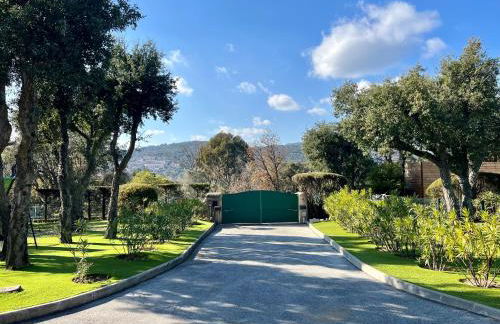 Studio Mari-Ange - Foto 3