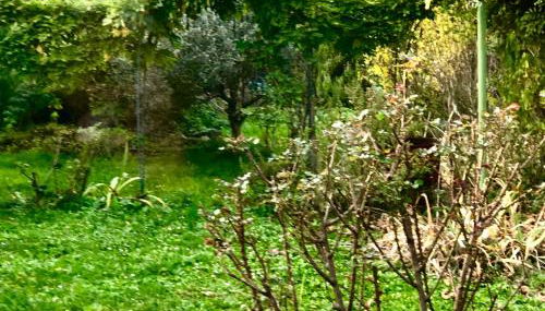 La Causeuse - Photo 3