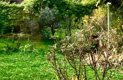 La Causeuse - Foto 3