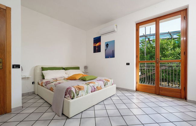 Giardino di Nonno Lucio - Foto 3