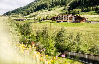 Unterlutaschg-Chalet Appartement am Hof - Foto 10