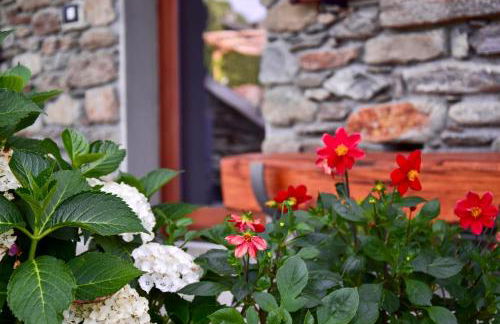 La Volta - Historic Molino Maufet Watermill - Lake Como - Foto 15