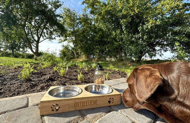 Ostseeliebe Flensfjord - Foto 19