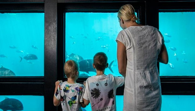 Great Barrier Reef Cruise to Hardy Reef Pontoon - Photo 5