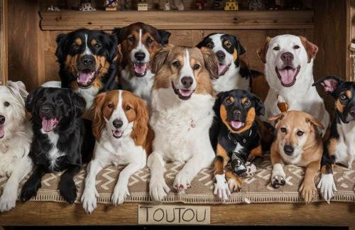 Les gites de la vallée du ceou - Photo 37