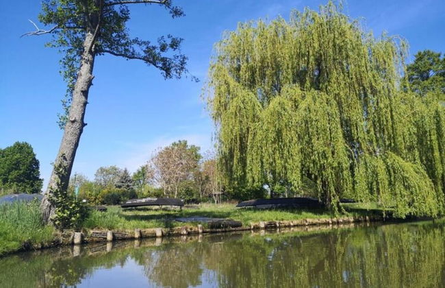 Villa G With Pool in Lubbenau - Foto 36