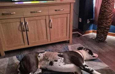 Room with a view - Foto 43