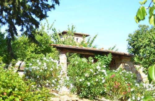 Podere Vignola - Foto 48