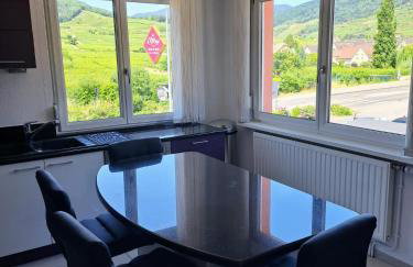 Chez Florence Ammerschwihr - Foto 28