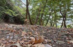 ΠΕΤΡΑΣΤΕΡΟ Canyon Retreat-Agrafa - Photo 43