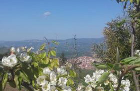 Agriturismo Il Regio Tratturo - Foto 11