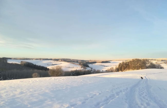 Holiday Home Eifelhome in Germany - Foto 40