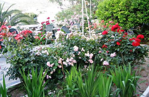 Anna Studios - Foto 43