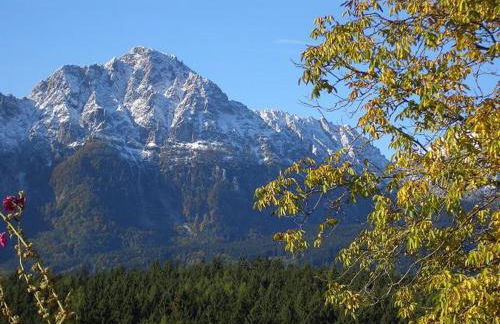 Huberbauernhof Ferienwohnungen - Foto 4