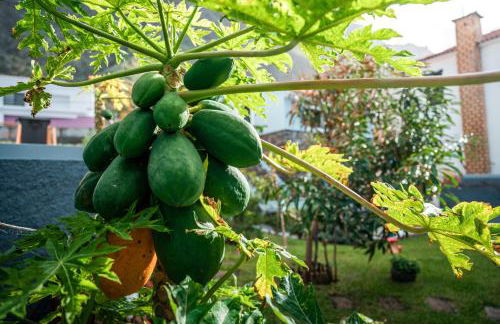 Cottage Pearl - Rural Holiday Experience by SeaPearl - Foto 17