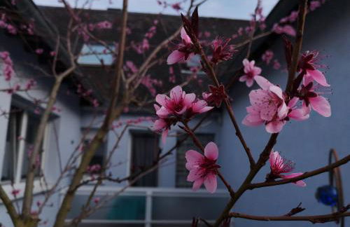Ferienwohnungen Am Bruttiger Moselsteig - Foto 46