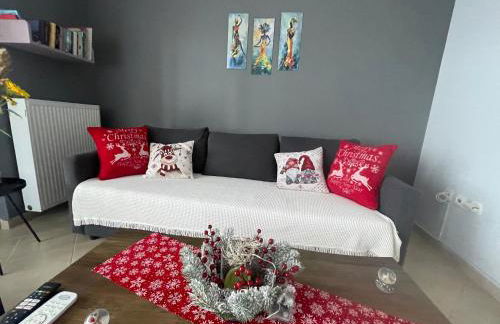 House in riviera lagonisi - Foto 43