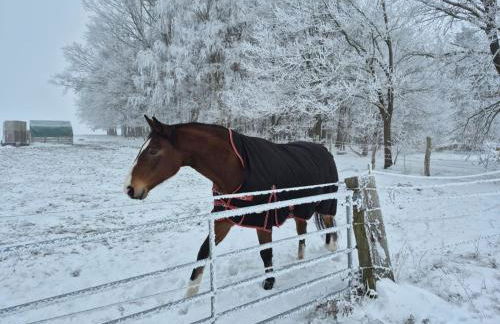 Blockhaus Ville - Foto 31