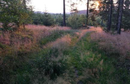 17 AM BERG - Foto 62