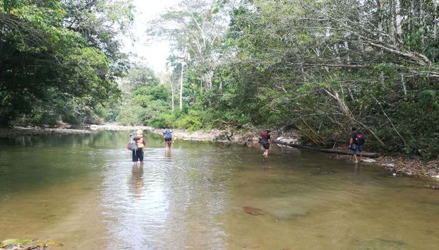 Aventure dans la forêt