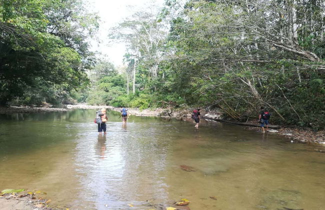Trilha e noite na floresta amazônica - Foto 4