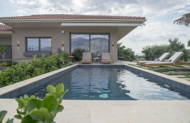 Elaia Grove - Foto 16