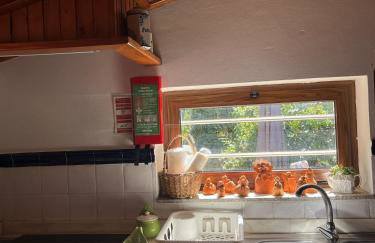 Quinta de Carcavelos Agroturismo e Enoturismo - Foto 19