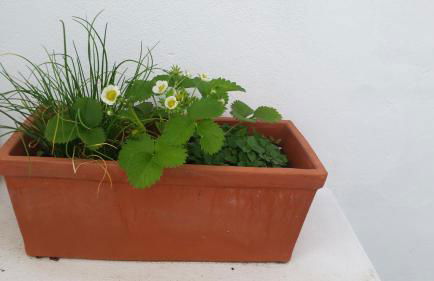 Casas do Patheo - Foto 23