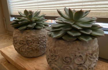 Lagerhaus Gabriel-Oasen in der Stadt - Foto 18