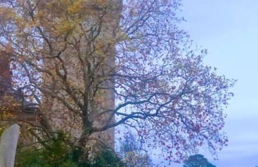 Tour du Bignon 30 beds 2 cottages 15 - Photo 37