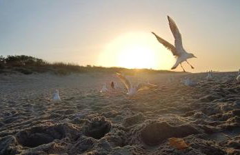 Apartament Skorpion Marina & Spa Sagaris Dziwnów - Foto 16