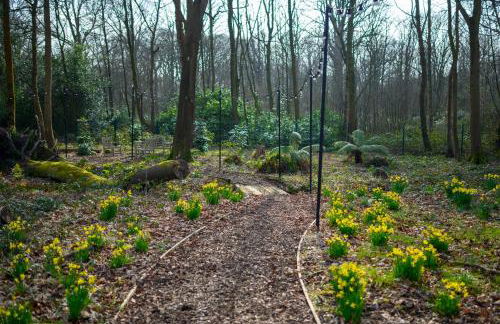 The Bothy Cottage - Foto 22
