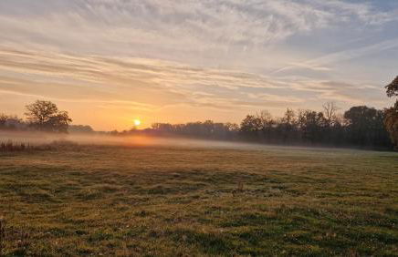 Apartment Leopold - Foto 35