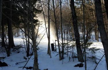 Ski in & out Spruce Glen Townhomes on Great Eastern Trail - Foto 34