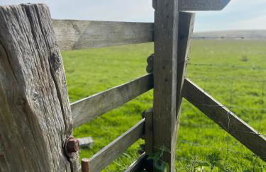 Winstitchen Cottage situated near the River Barle - Foto 48