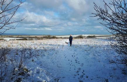 Thyme Cottage - Foto 8