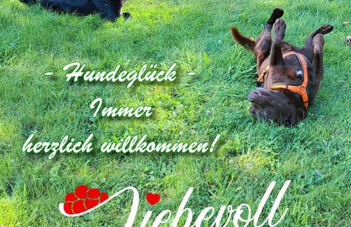 Liebevoll Gästewohnungen - Foto 70