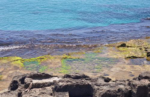 APARTAMENTO MORAIRA - 3 Habitaciones - Photo 46