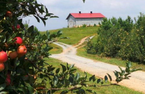 Close to Lake Blue Ridge, Hot Tub, Swing Beds - Foto 34