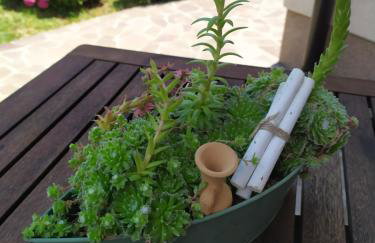 Apartment Vanda - Foto 30