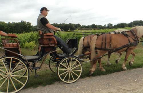 Maison Charentaise avec Cheminée, Jardin et Animaux acceptés - FR-1-653-221 - Foto 30